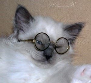 06.2006 029 Gro�e Webansicht