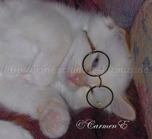 brille_gro�_0502 Gro�e Webansicht