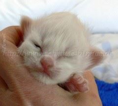 02-04.07-Mädchen 022 Große Webansicht02 02-04.07-Mädchen 022 Große Webansicht02