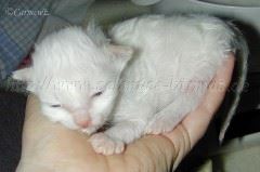 zufriedenHand Große Webansicht02 zufriedenHand Große Webansicht02