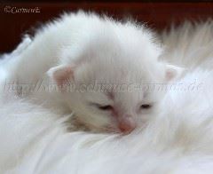 Kl Madchen 10 Tage alt_0 Große Webansicht04 Kl Madchen 10 Tage alt_0 Große Webansicht04