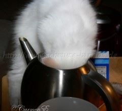 Juni07 106 Mittlere Webansicht02