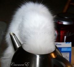 Juni07 109 Mittlere Webansicht