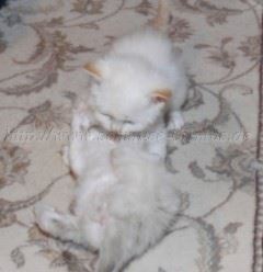 4-5 wo 063 Mittlere Webansicht