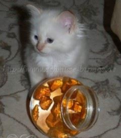 Zoe23.05.06 003 Gro�e Webansicht Mittlere Webansicht02