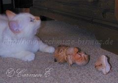 Ichdochnicht Gro�e Webansicht Mittlere Webansicht04