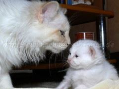 15.04.07 034 Große Webansicht 15.04.07 034 Große Webansicht