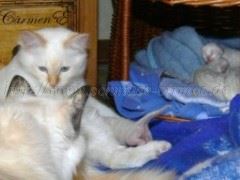 eineWochealt_04 Mittlere Webansicht02 eineWochealt_04 Mittlere Webansicht02