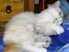 eineWochealt_05 Mittlere Webansicht02 eineWochealt_05 Mittlere Webansicht02