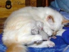 eineWochealt_03 Mittlere Webansicht eineWochealt_03 Mittlere Webansicht