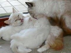 P1150812 Große Webansicht P1150812 Große Webansicht