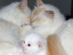 30.07.08_3 Große Webansicht03 30.07.08_3 Große Webansicht03