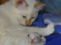 eineWochealt Mittlere Webansicht04