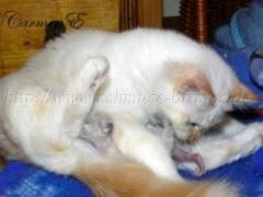 eineWochealt_01 Mittlere Webansicht02 eineWochealt_01 Mittlere Webansicht02