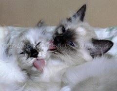 12Wochen 029 Große Webansicht 12Wochen 029 Große Webansicht