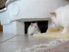 P1170039 Große Webansicht P1170039 Große Webansicht