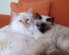 2007_03080168- Große Webansicht Mittlere Webansicht 2007_03080168- Große Webansicht Mittlere Webansicht